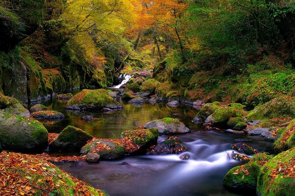 Paisagem de outono muito bonita com riacho