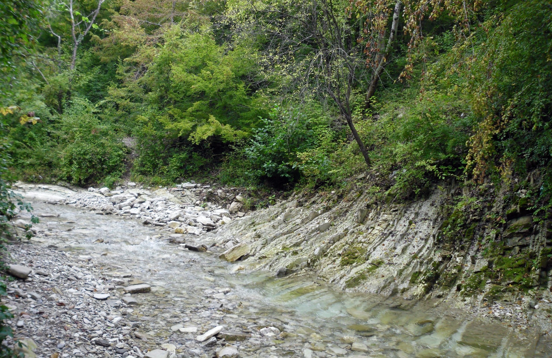 ríos estanques y arroyos estanques y arroyos naturaleza agua paisaje madera corriente río al aire libre hoja roca piedra viajes verano medio ambiente árbol cascada corriente salvaje montañas flora