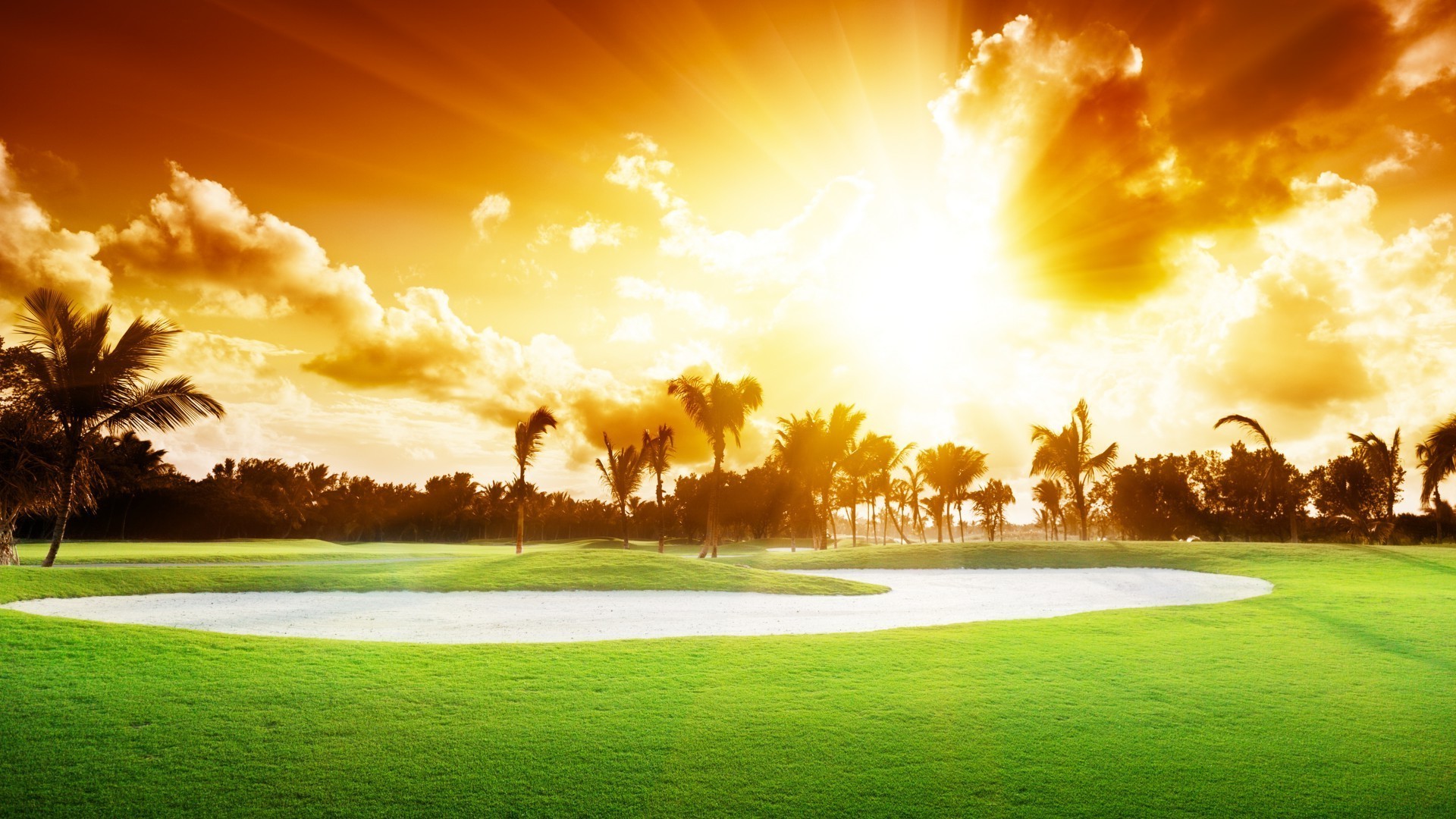 coucher du soleil et l aube herbe golf paysage soleil nature aube coucher de soleil beau temps champ arbre pelouse été lumineux ciel foin rural