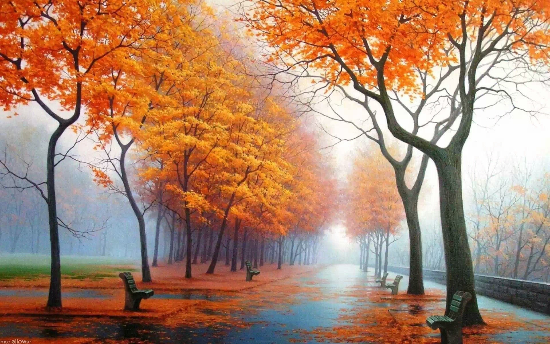 autumn fall tree leaf season maple nature dawn park landscape branch wood mist fog gold scenery scenic outdoors bright color