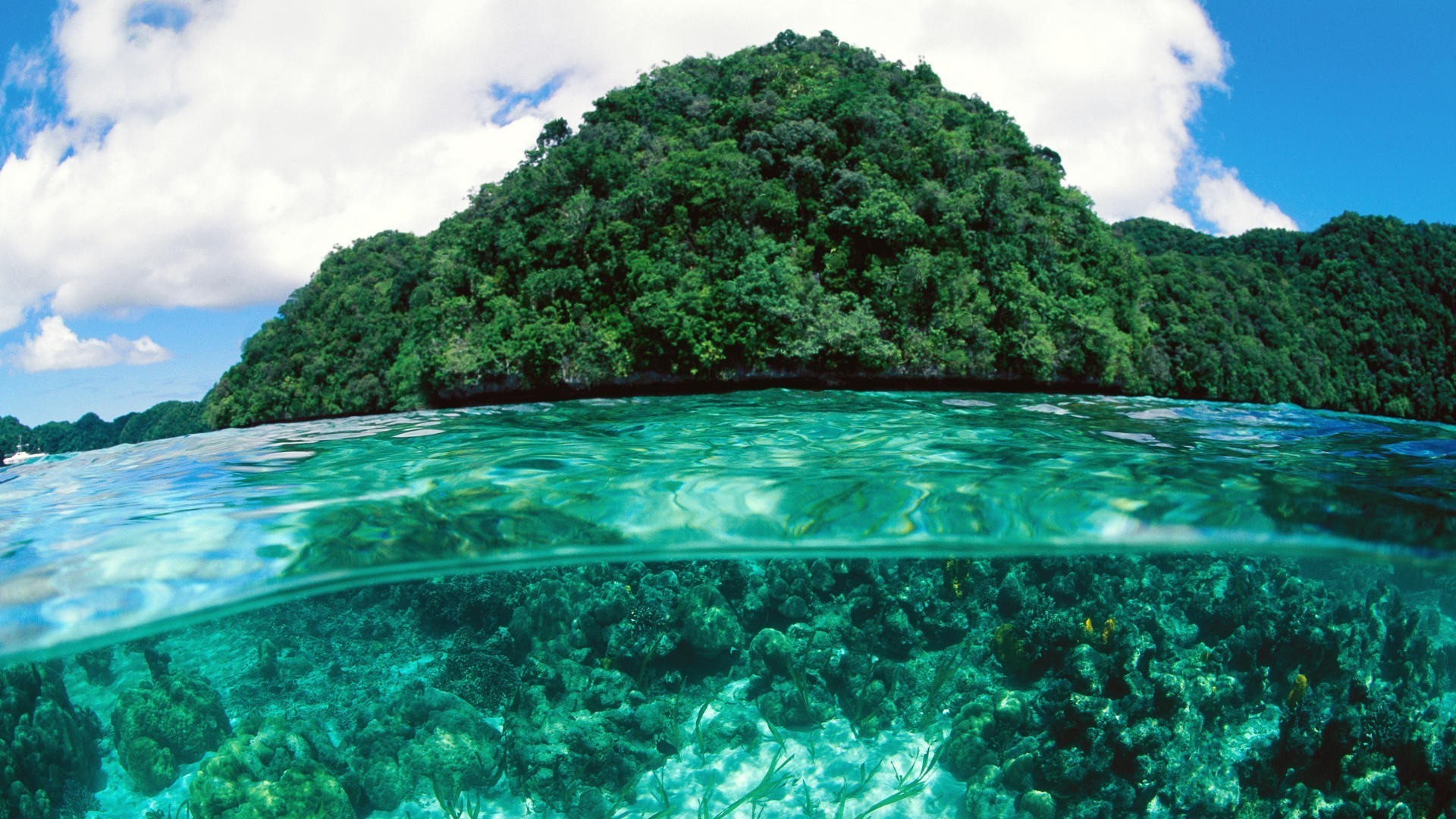 ilhas água natureza tropical paisagem viagens paisagem mar lagoa oceano ilha turquesa praia mar verão bom tempo paraíso baía coral férias