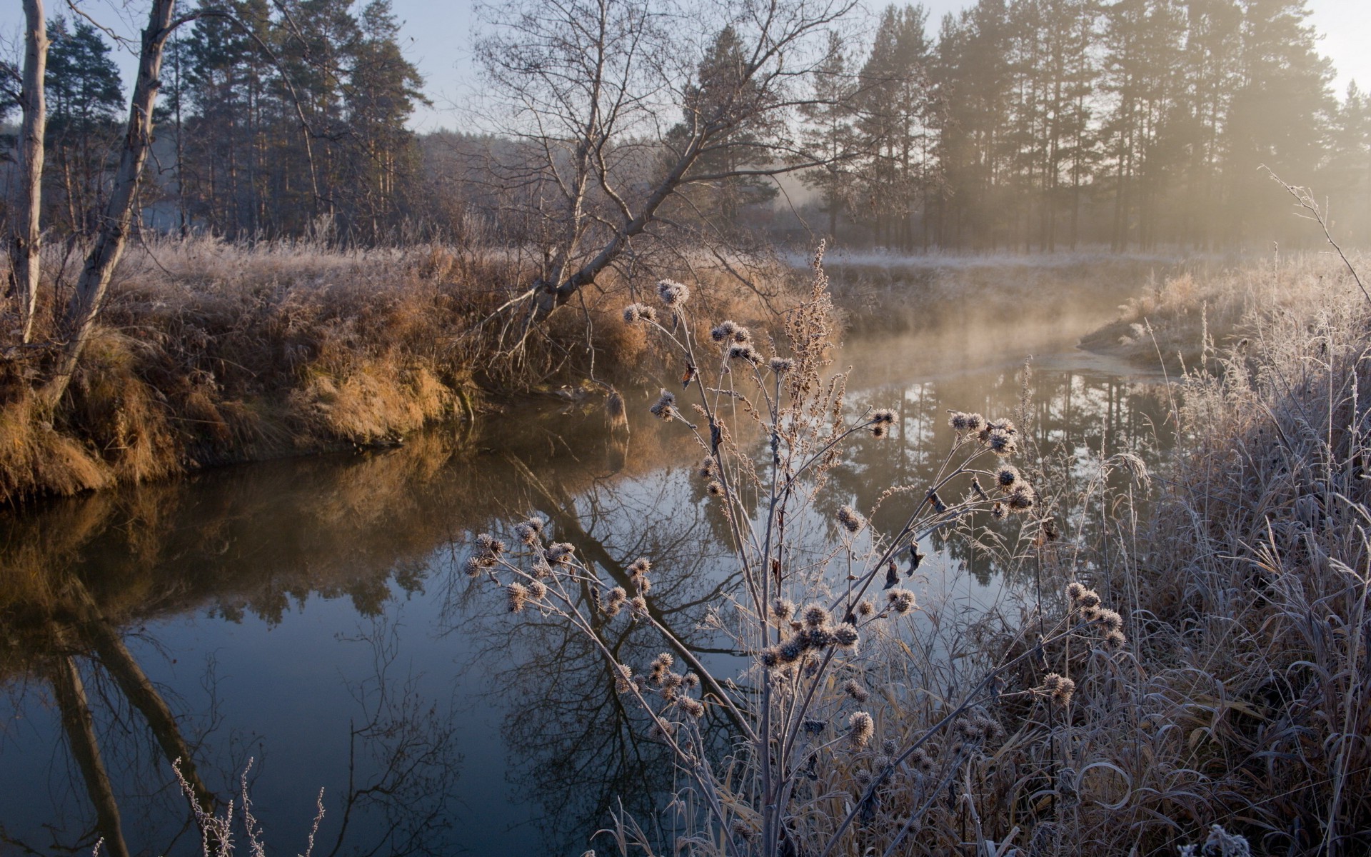 rivières étangs et ruisseaux étangs et ruisseaux hiver neige nature froid eau paysage bois bois réflexion automne à l extérieur aube gel lac glace rivière météo saison congelés