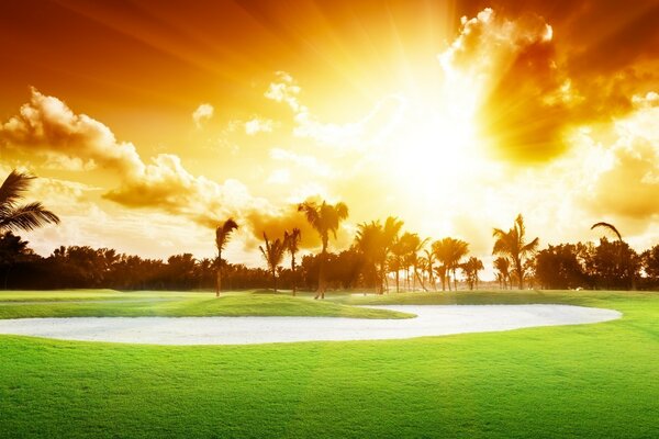 Summer manicured golf course