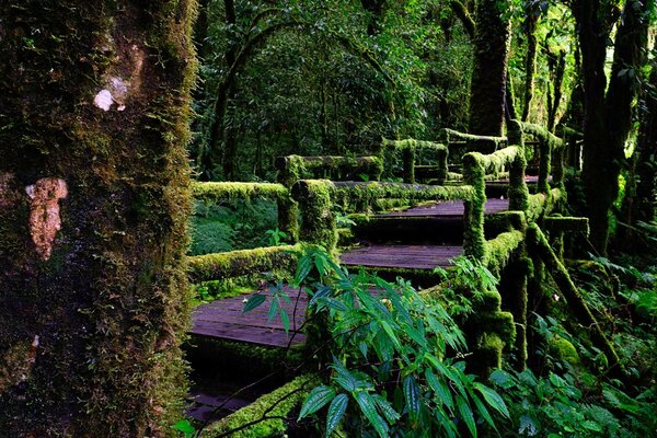 Bel endroit avec ascenseur et escalier en bois