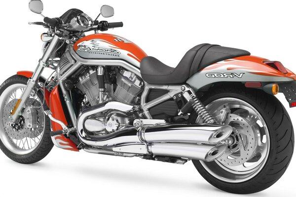 Harley Davidson V - ROD