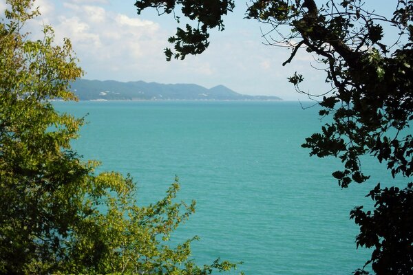 Blue ocean behind green trees