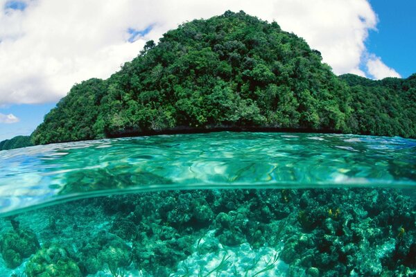 Тропічний пейзаж з прозорою водою і хмарами