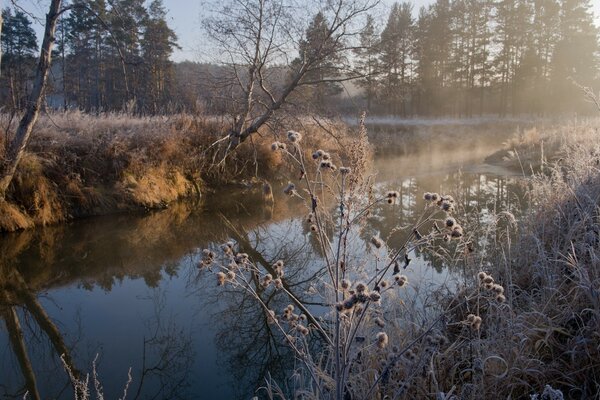 Beautiful landscape of winter creek