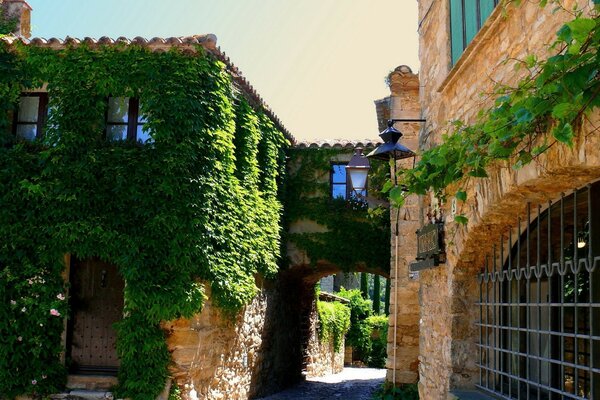 Maison en brique envahie par le lierre frais avec des portes sculptées et forgées