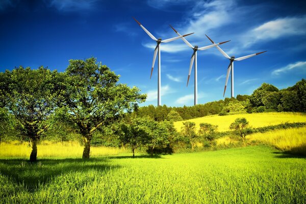 Drei Windgeneratoren auf einem Hügel inmitten des Grüns