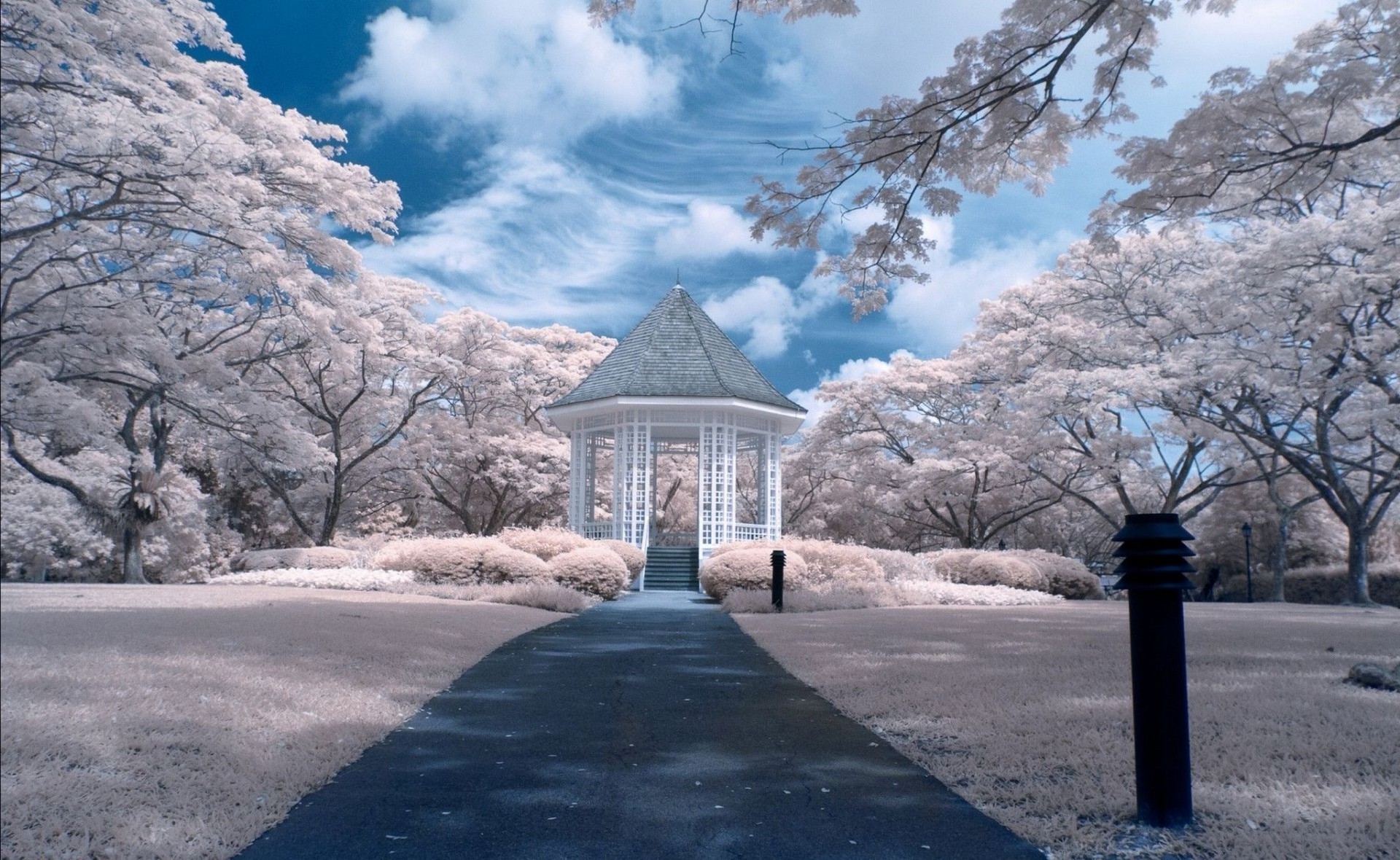 inverno árvore neve parque paisagem estrada guia temporada frio cênica madeira