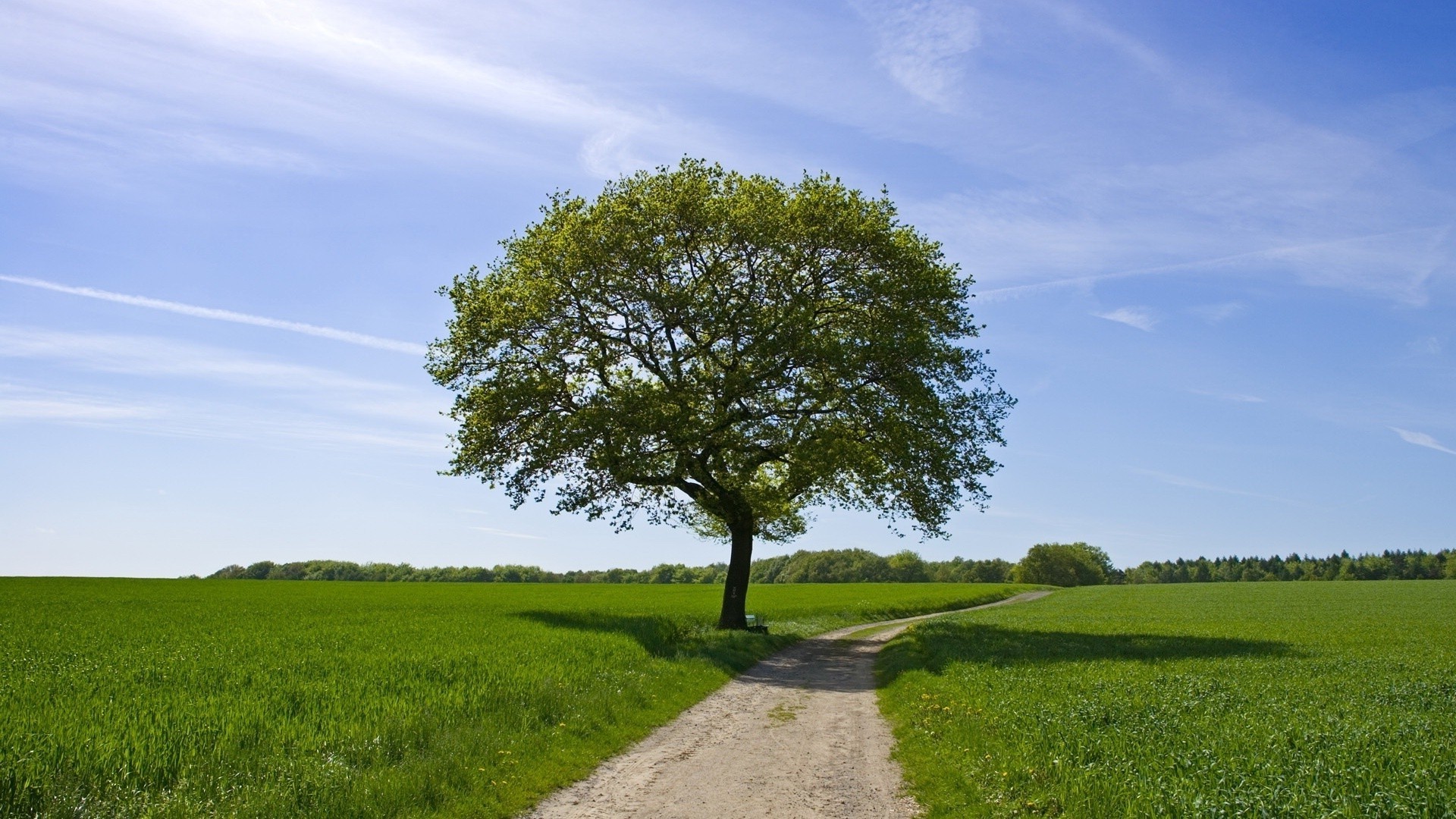 strada paesaggio erba albero rurale natura campagna fieno campo all aperto agricoltura cielo estate orizzonte paese ambiente scenico suolo