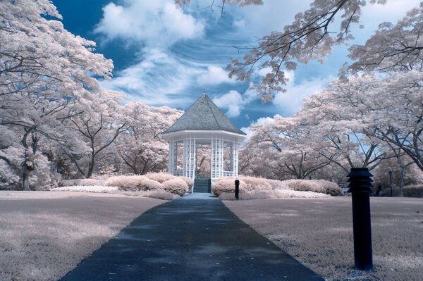 Parque romântico em uma paisagem de Inverno