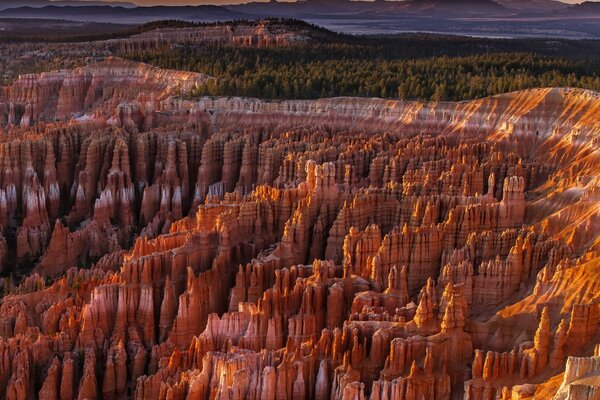 A beautiful original canyon in the distance with a green forest