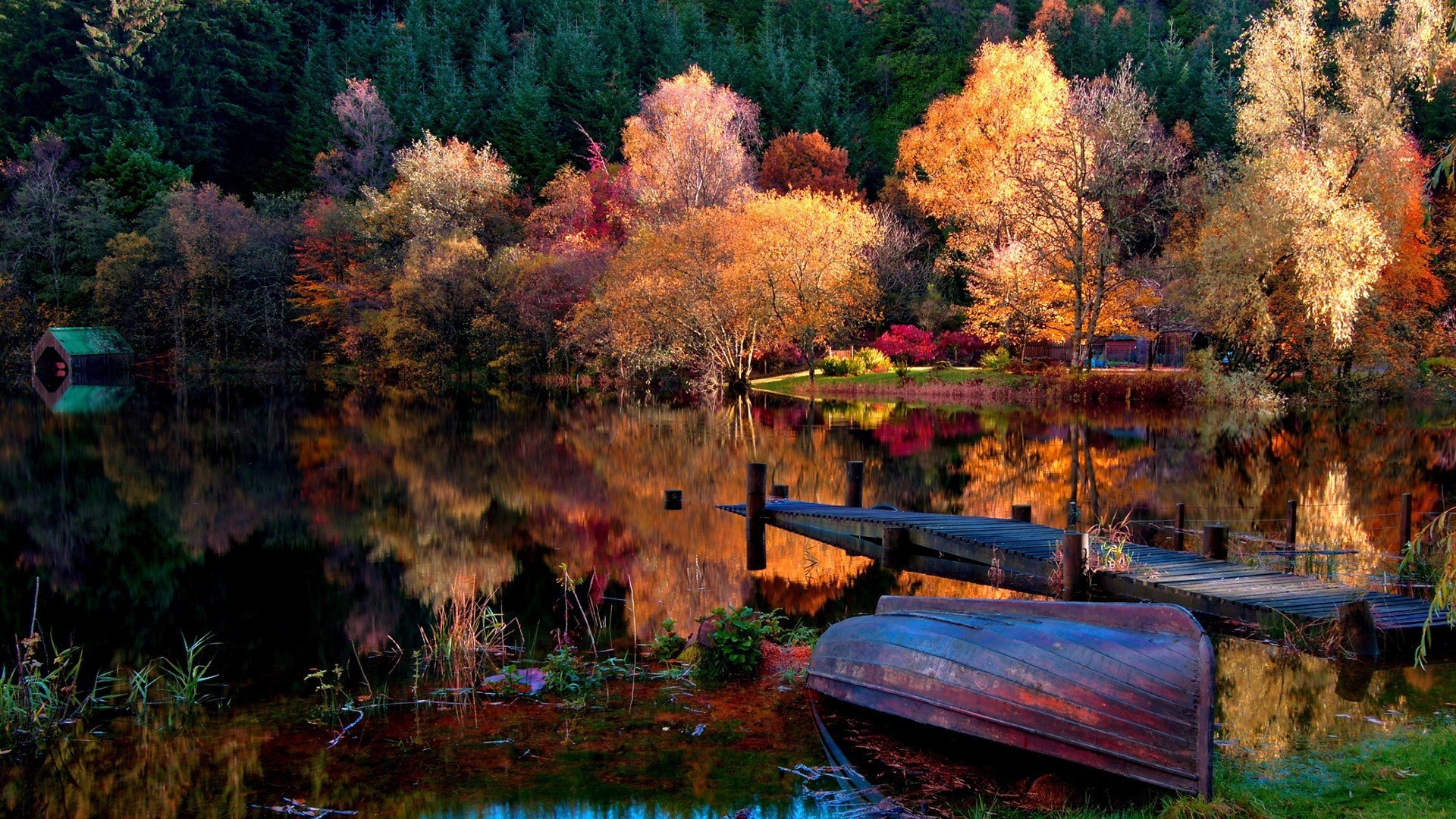 see herbst baum natur wasser fluss holz landschaft im freien reflexion park blatt landschaftlich reisen saison