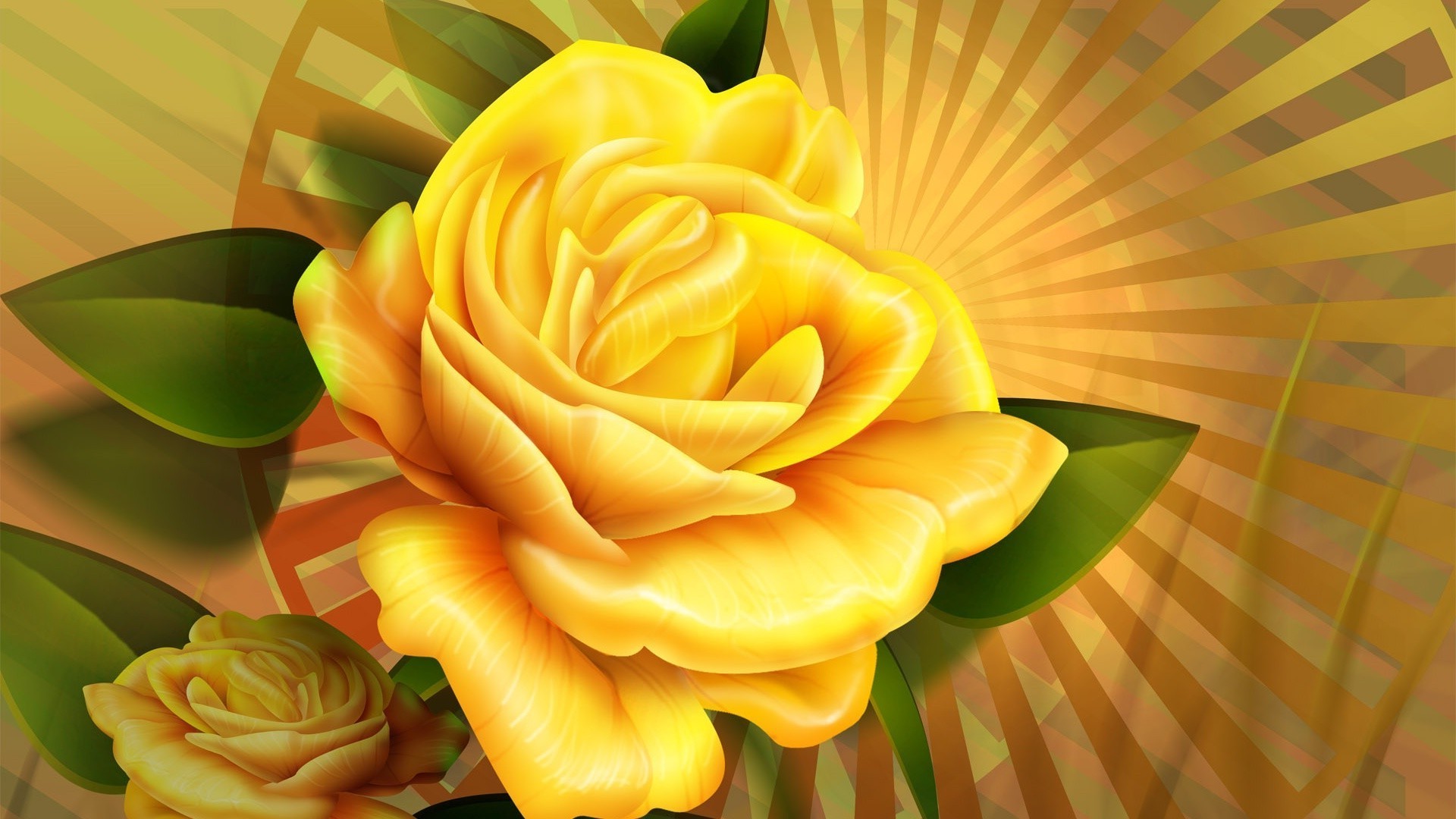 rose nature leaf flower flora decoration color desktop summer