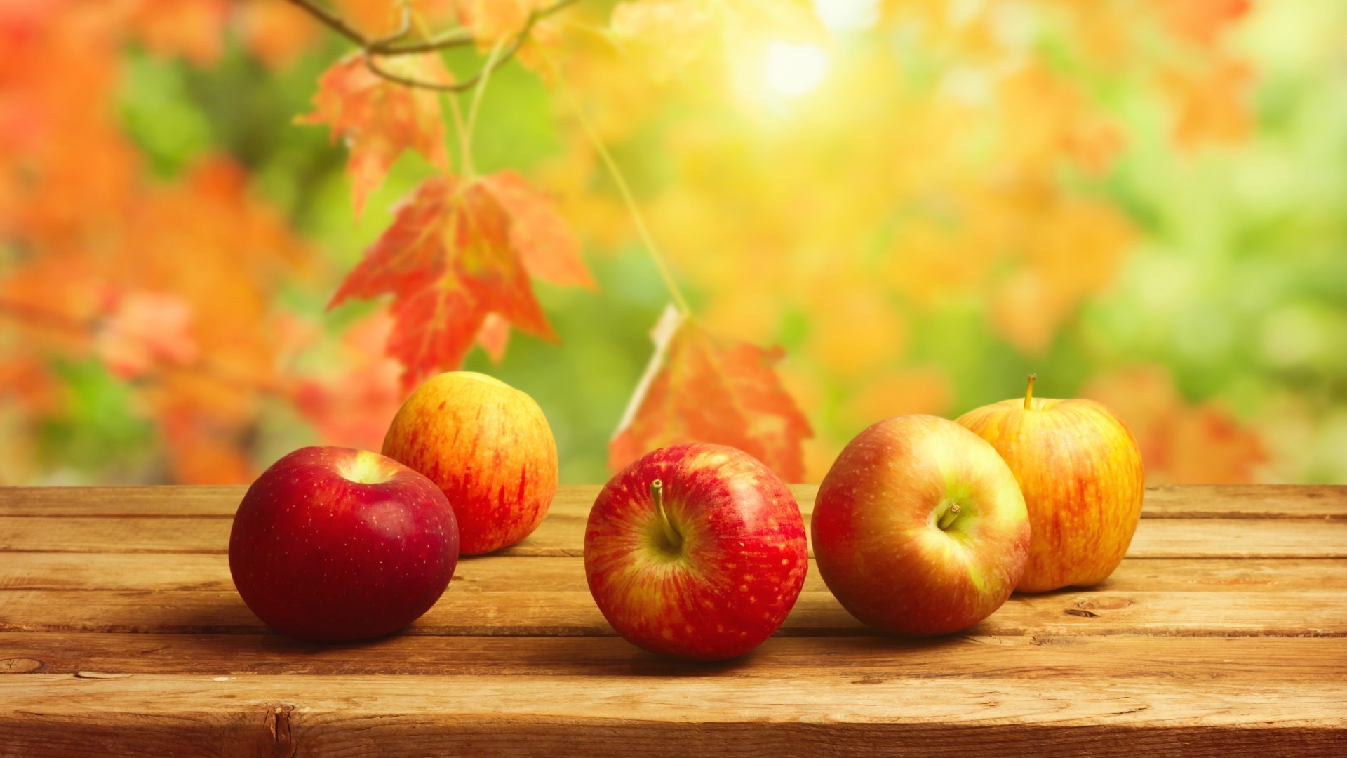 яблоки цвета apples color без смс