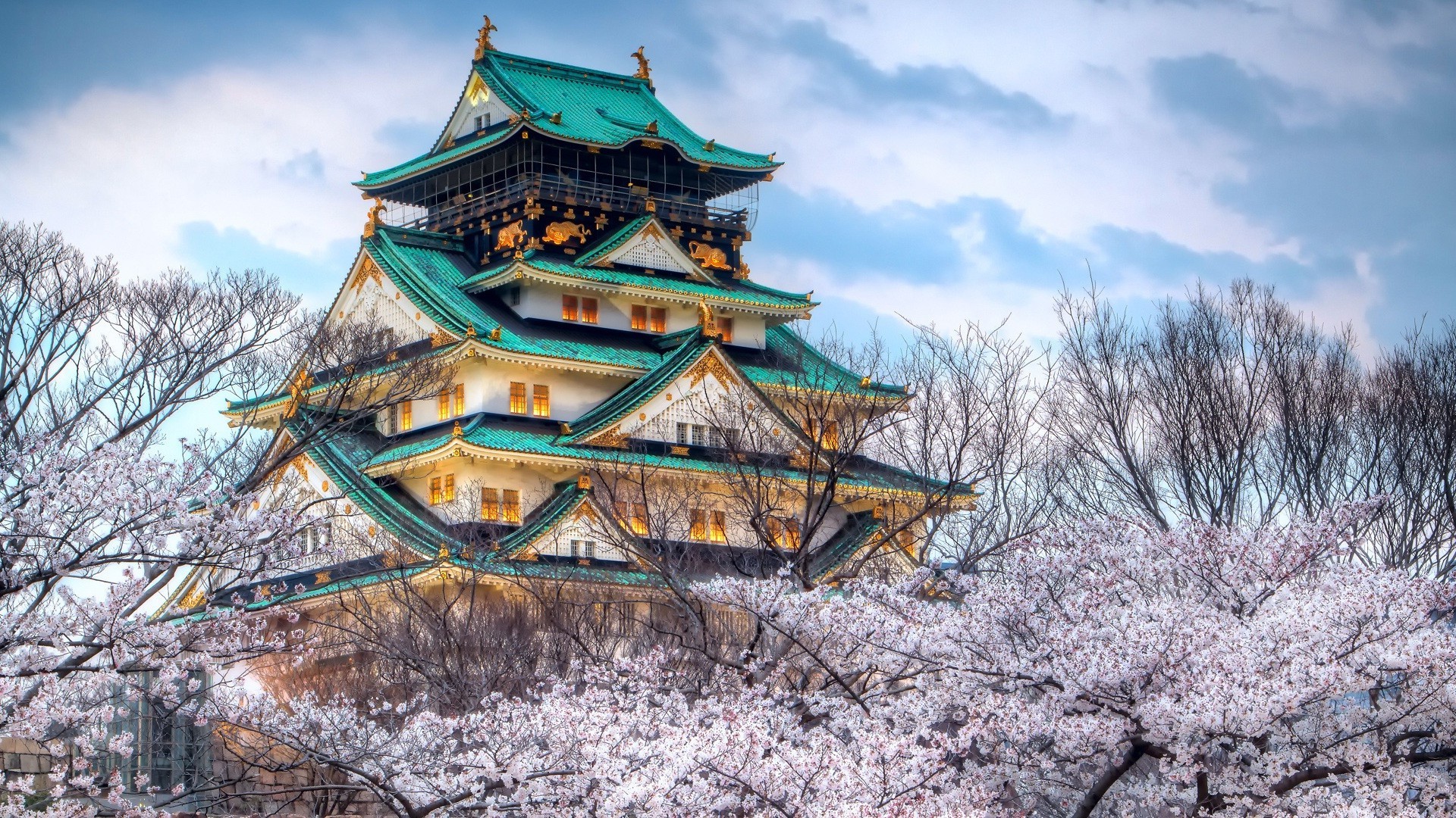 古建筑 天空 冬天 传统 木材 文化 旅游 雪 寺庙 树 景观 公园 房子 自然 建筑 季节 美丽 老 城堡 户外