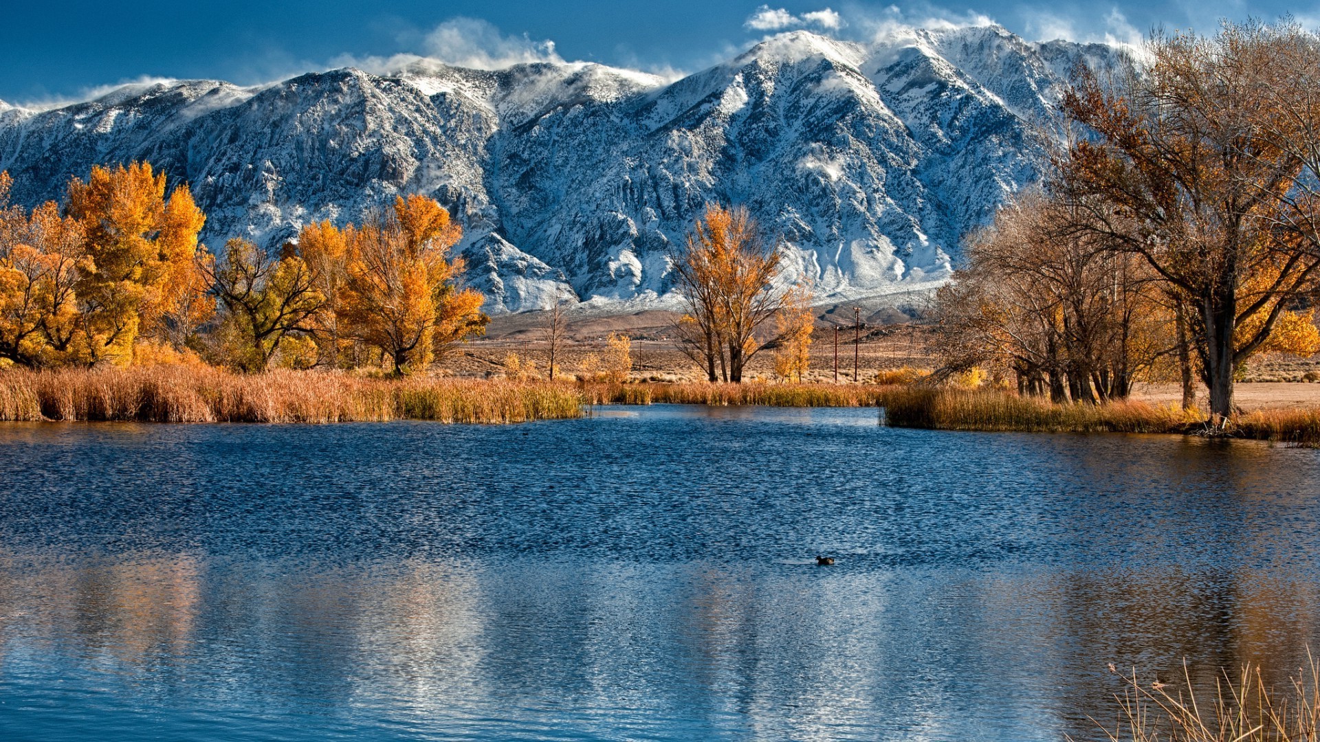 lac automne nature paysage eau bois réflexion à l extérieur bois scénique neige ciel montagnes aube voyage sang-froid sauvage saison parc
