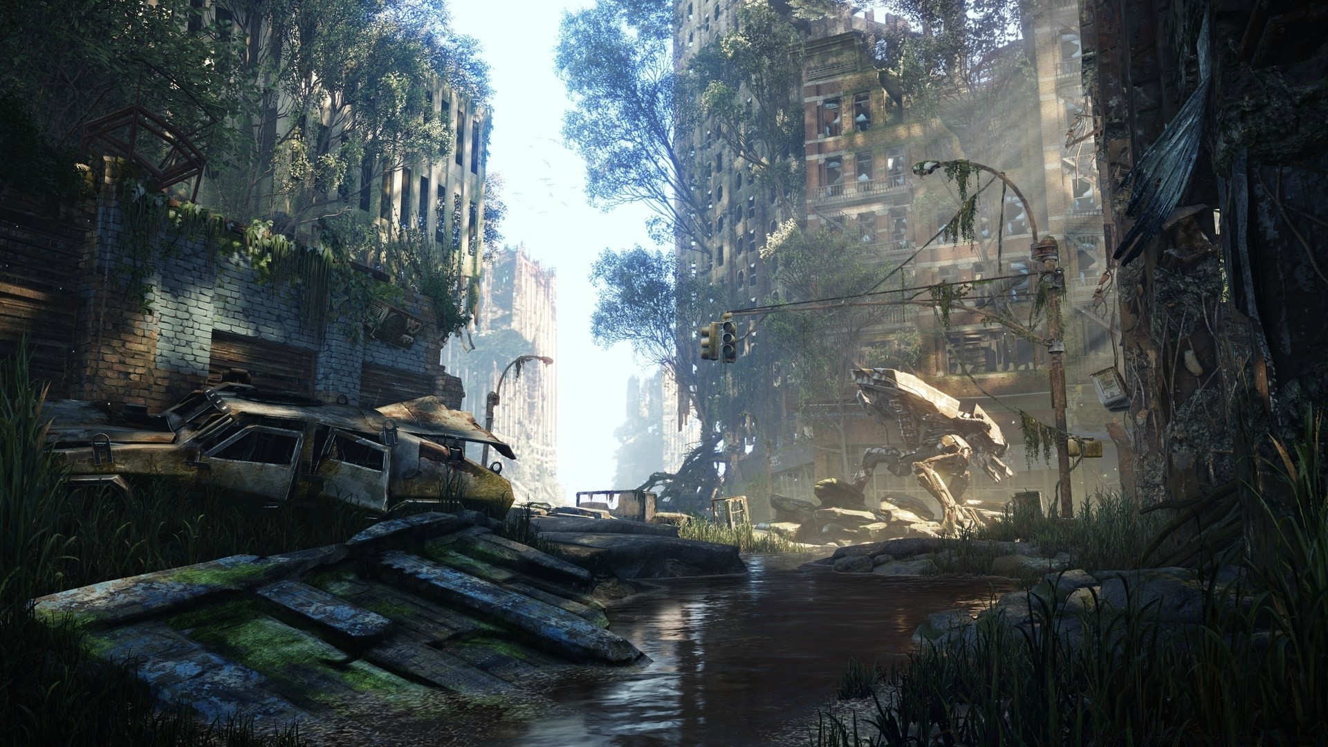 crysis води дерево річка подорожі на відкритому повітрі пейзаж природа деревини