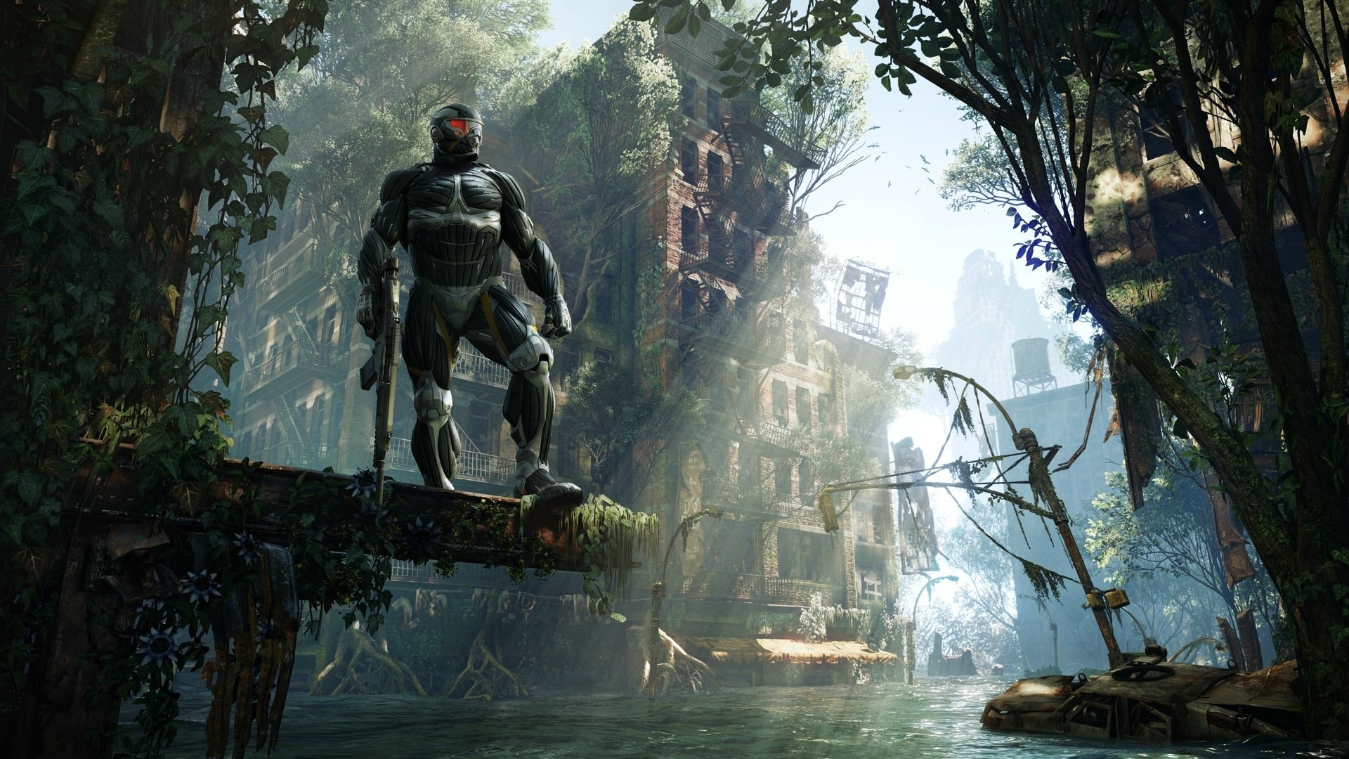 crysis su ağaç geri kalan seyahat yetişkin adam açık havada