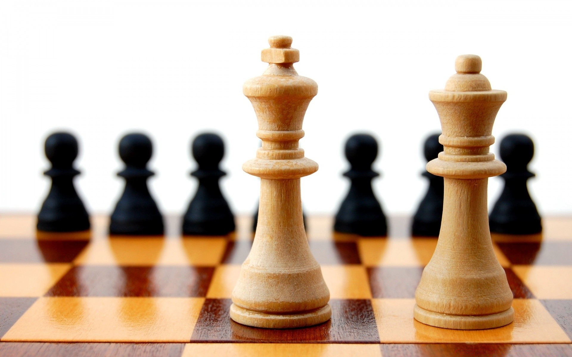 chess strategie pfandhäuser königin ritter kumpel schloss strategische sieg intelligenz wettbewerb brettspiel gewinnen kampf herausforderung lösung erfolg spiel reisen taktik