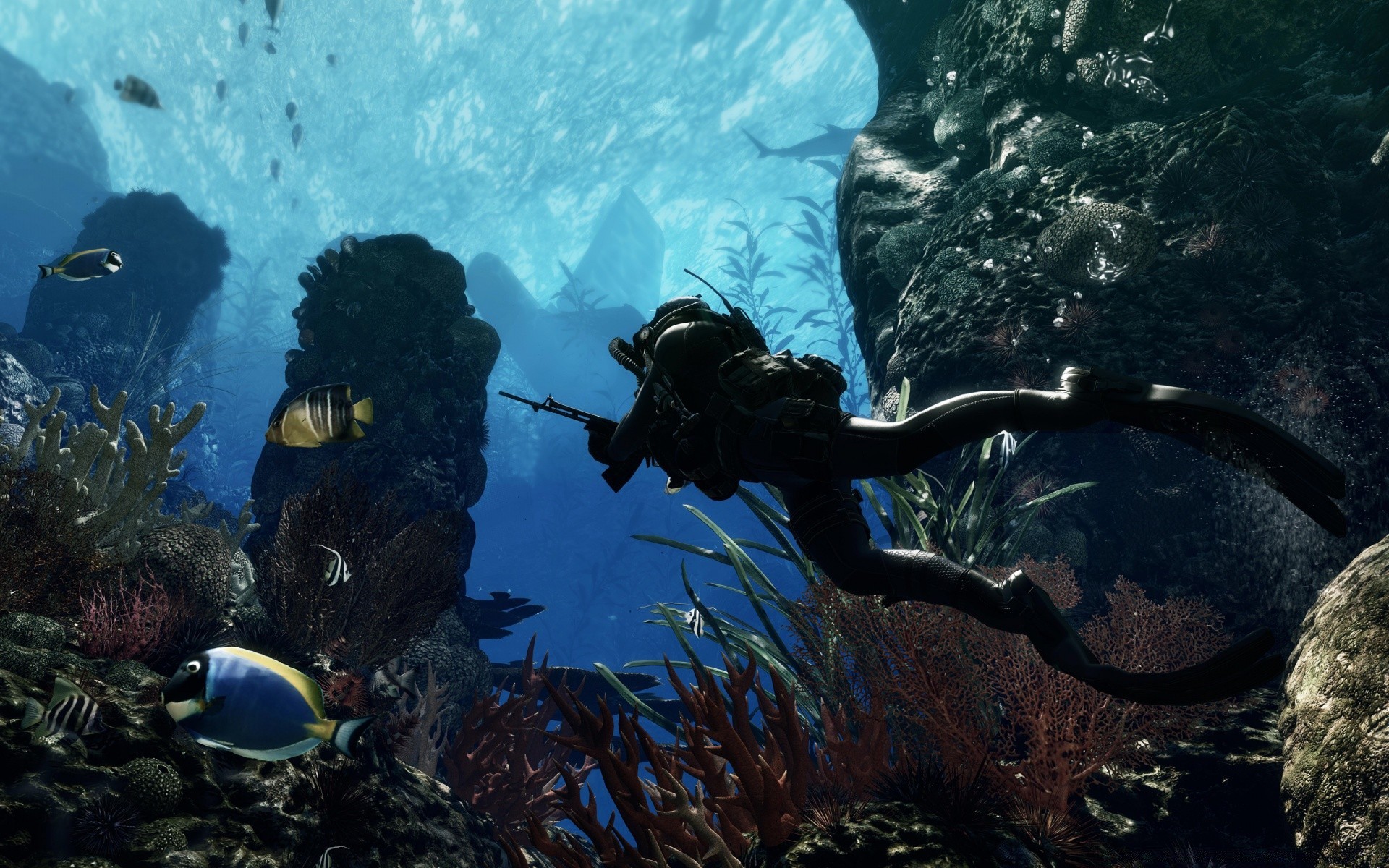 call of duty subaquático peixes recife coral água oceano esportes aquáticos invertebrados mergulho mergulho exploração mar mergulhador snorkeling aquário submarino profundo natação fuzileiro naval