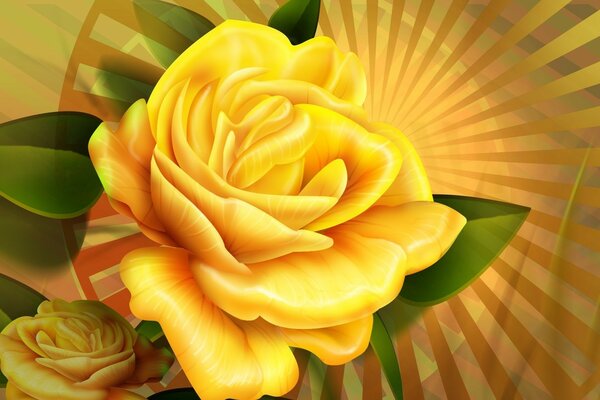 黄色的玫瑰在阳光下闪闪发光