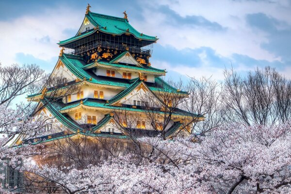 Japanese architecture surrounded by tree branches against a blue sky