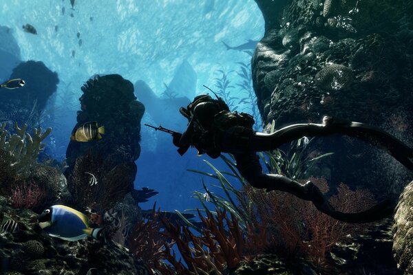 Diver underwater with corals and fish