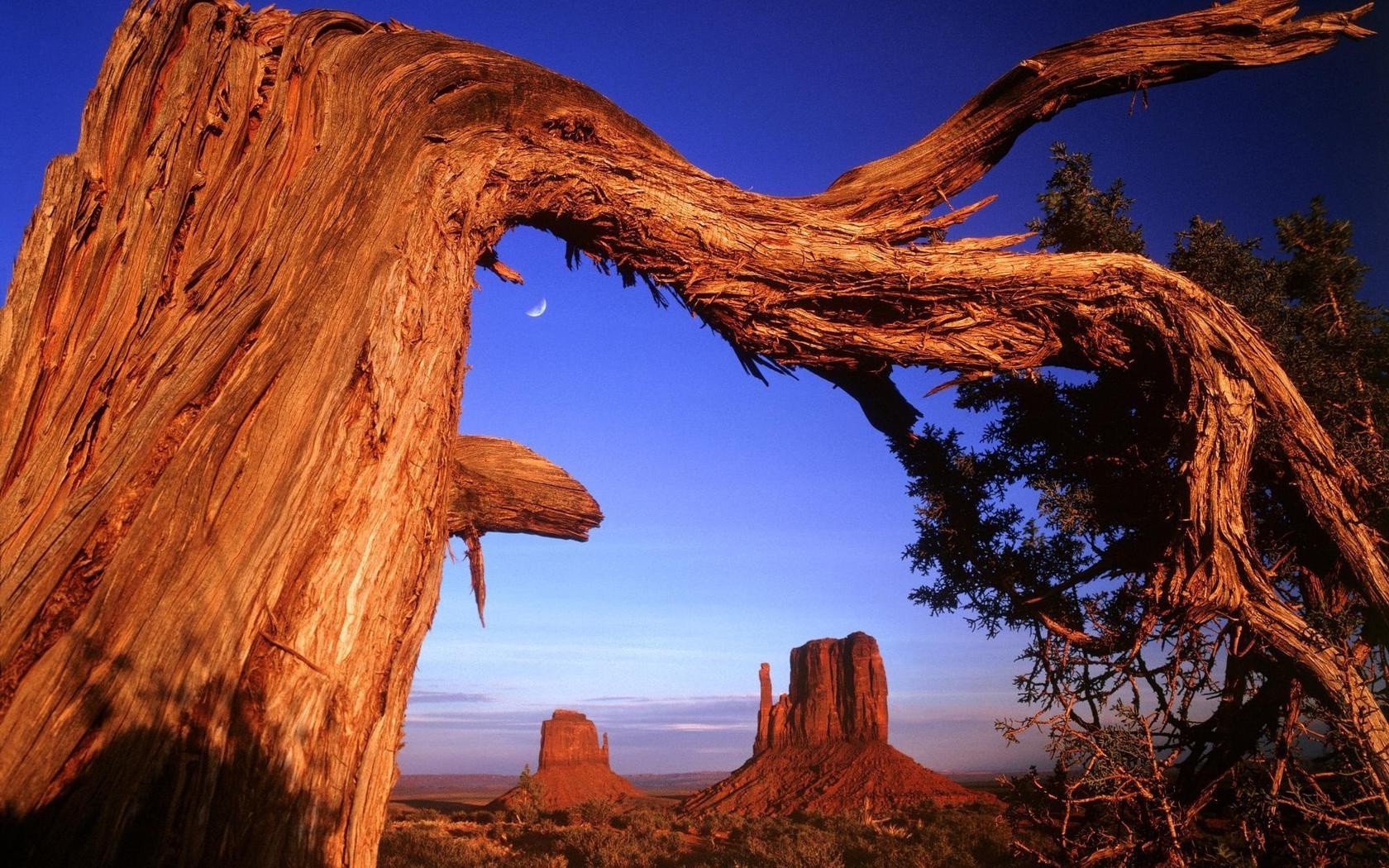 famous places travel outdoors rock landscape sunset sandstone sky nature desert scenic tree canyon evening park geology dawn