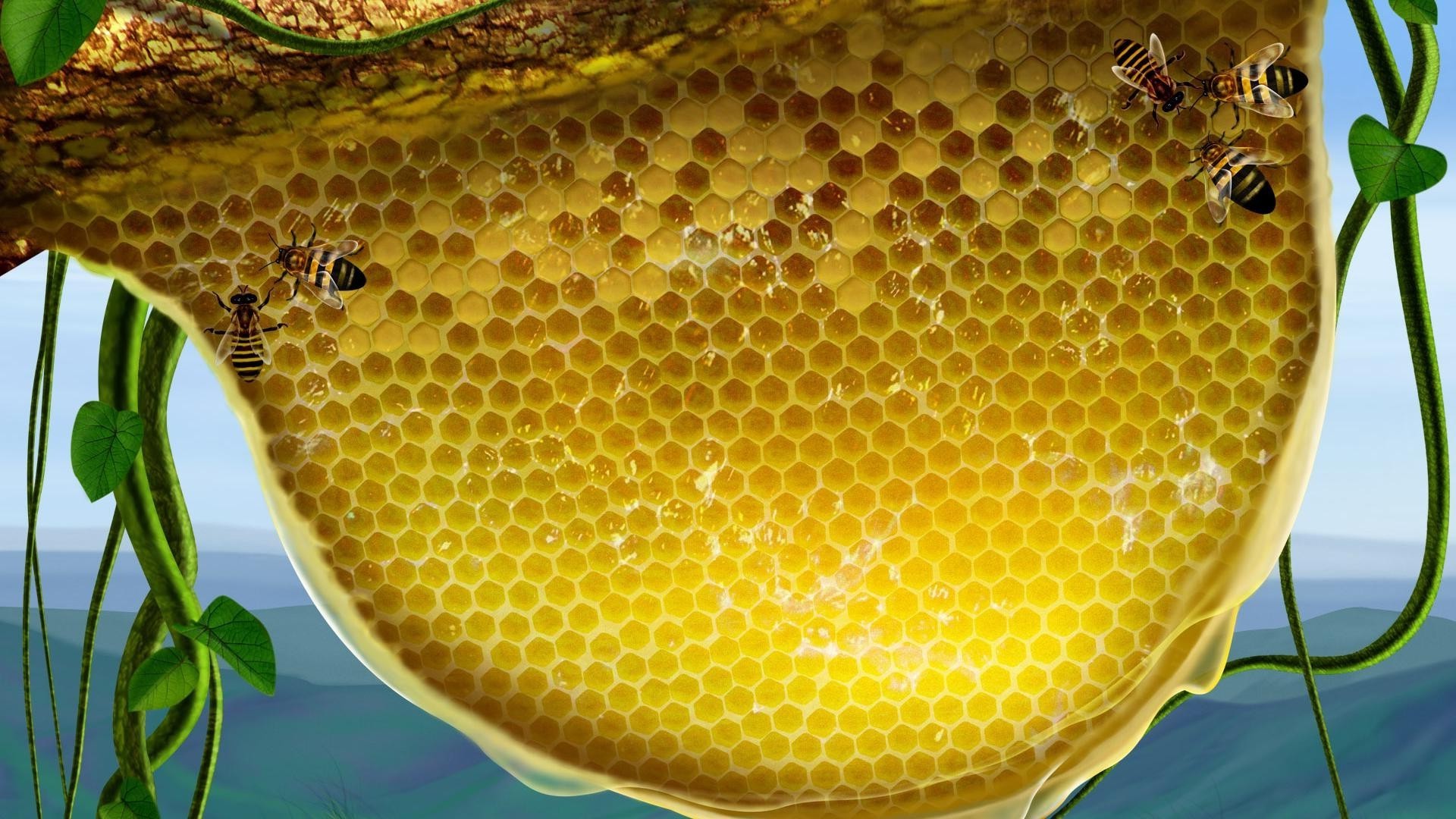 Фото пчелиной матки на фоне пчел