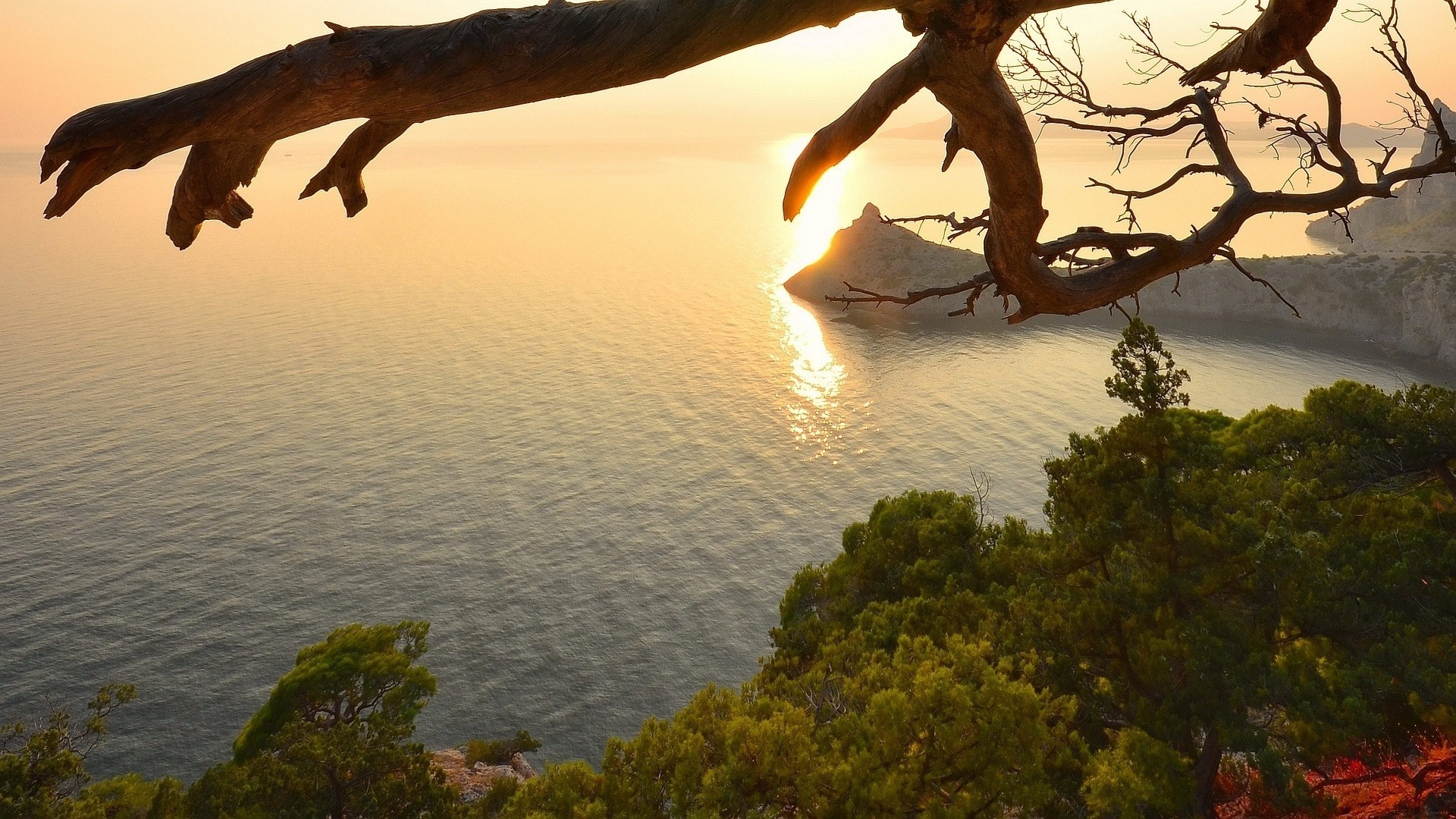 felsen felsbrocken und steine felsbrocken und steine wasser baum sonnenuntergang landschaft abend strand dämmerung ozean meer im freien natur meer see reisen himmel