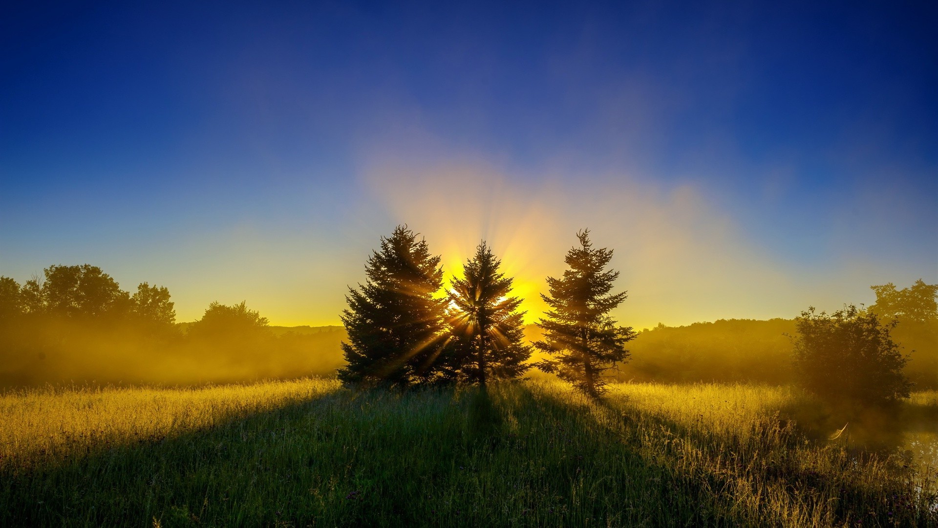 trees sunset sun dawn landscape nature sky evening fair weather rural field countryside outdoors tree light fall grass