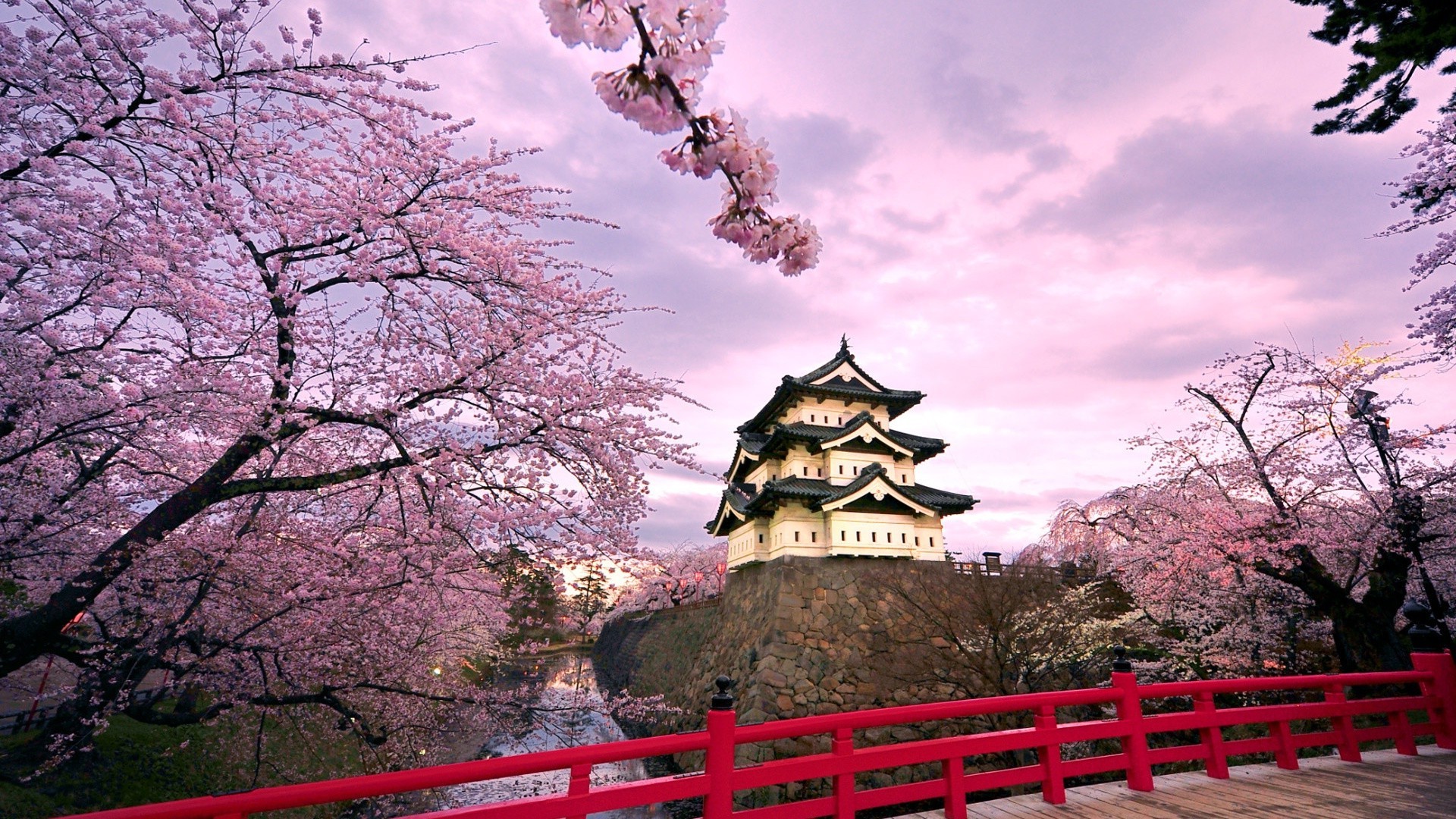 schlösser baum park kirsche landschaft garten blume reisen architektur himmel tempel im freien shinto traditionell kultur zen filiale natur saison schön