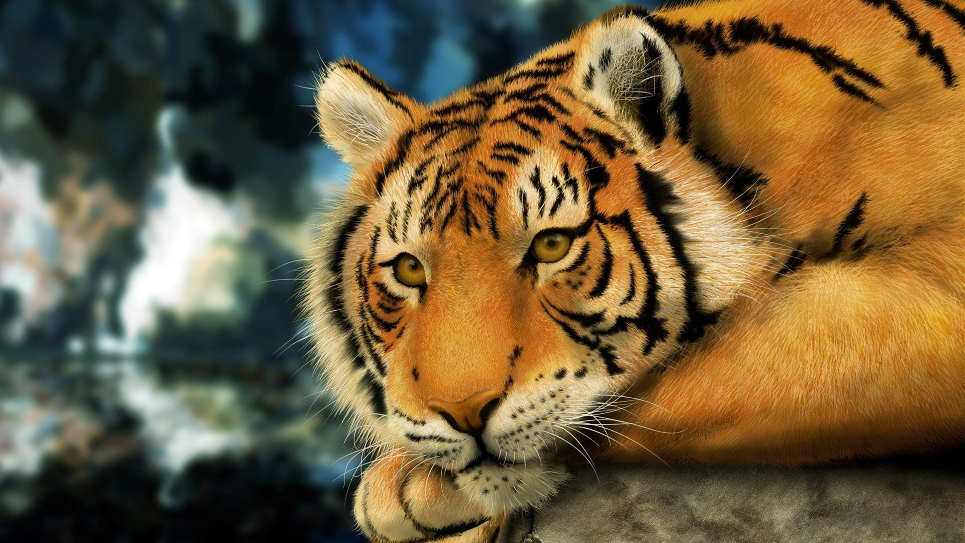 tigres tigre vida silvestre gato mamífero zoológico animal depredador raya agresión retrato cazador peligro ojo piel salvaje mirando naturaleza enojado selva