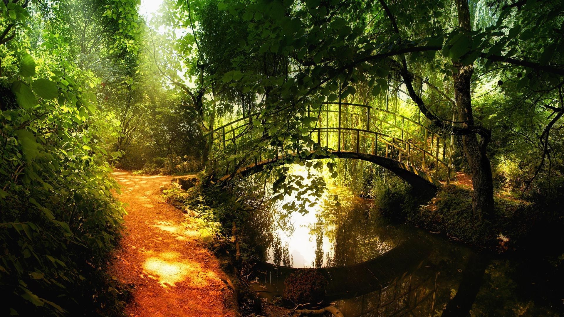 kreativ holz holz landschaft blatt natur park licht umwelt reisen üppig herbst wasser im freien fluss dämmerung gutes wetter