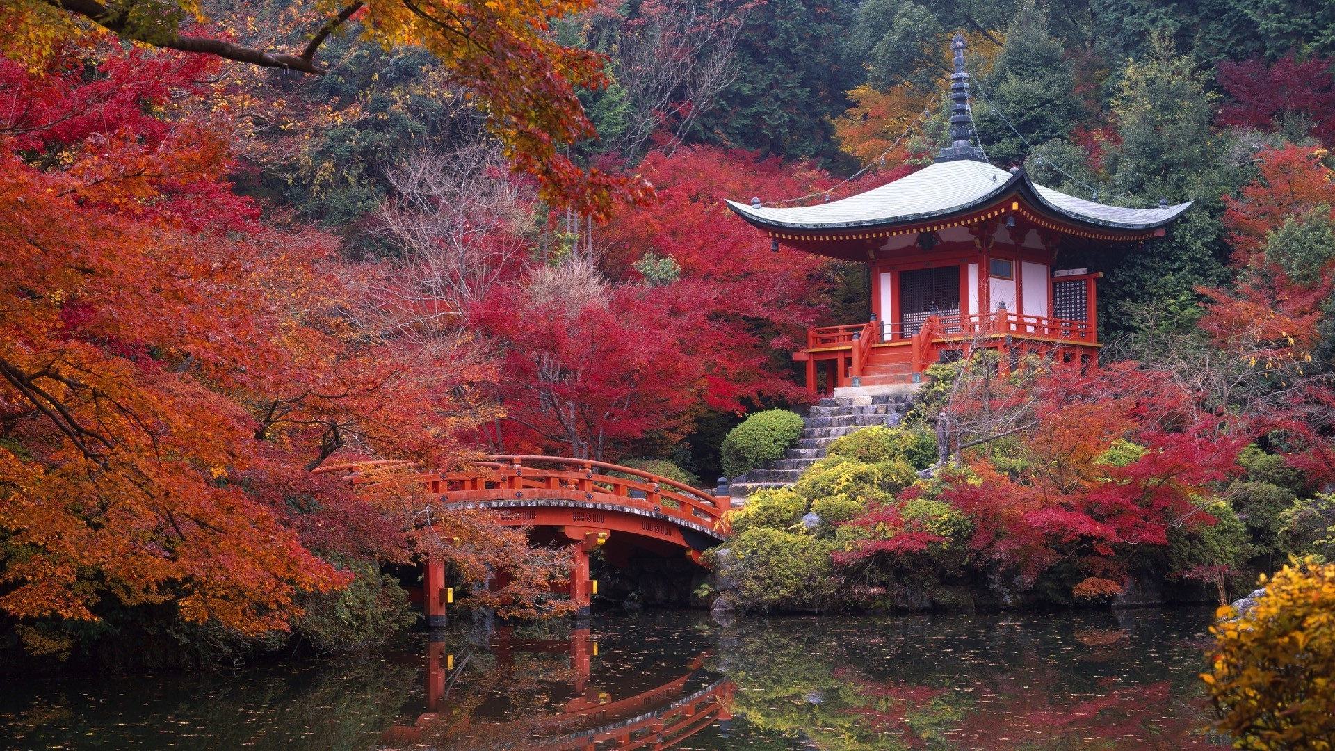 rivers ponds and streams fall wood tree maple park leaf travel outdoors zen landscape nature garden water mountain shinto