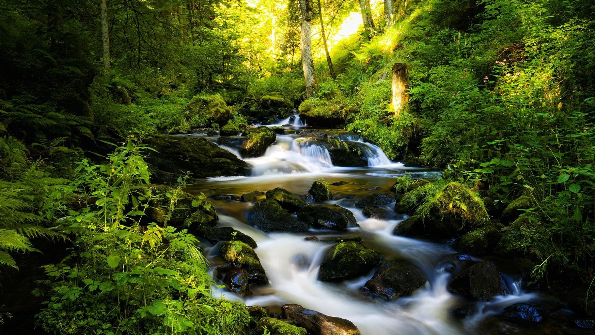 rios lagoas e córregos lagoas e córregos madeira água cachoeira natureza rio córrego folha musgo rocha paisagem ao ar livre cascata árvore outono grito viajar exuberante córrego montanhas