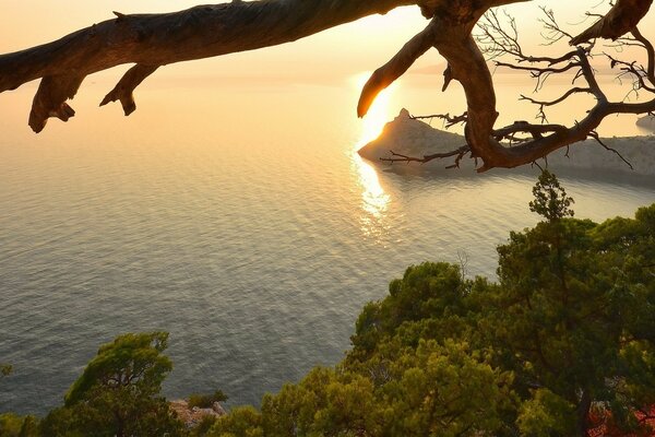 Felsbrocken und Felsen im Hintergrund des Sonnenuntergangs