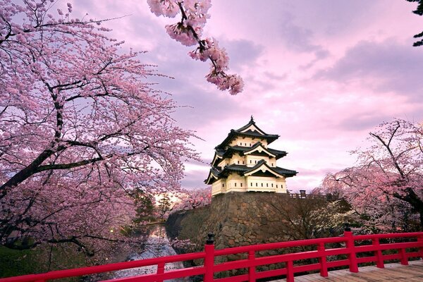 Chinese cherry blossom locks