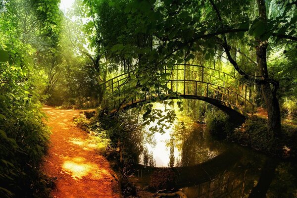 Puente sobre el río al atardecer