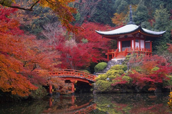 Pagoda y puente en un Jardín luminoso