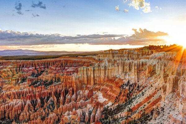 Sandy canyon in the sun