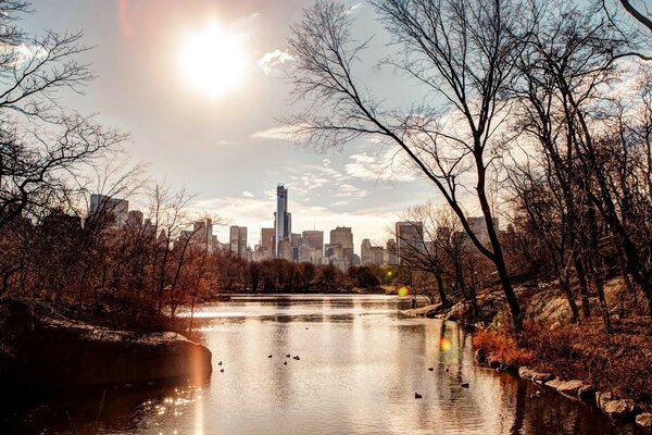 A park with a lake in a big city