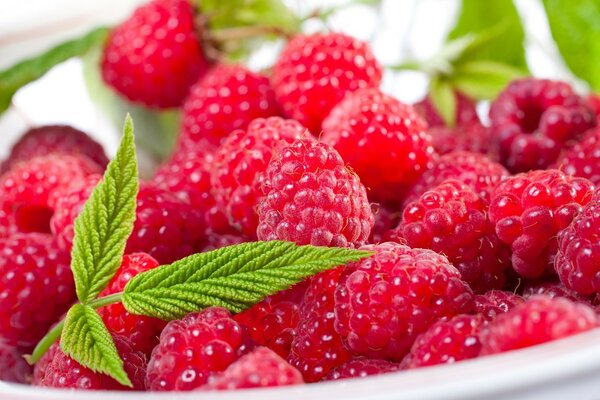 Framboises juteuses et sucrées sur une assiette