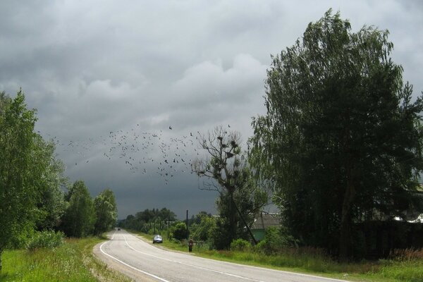 Antes de la tormenta. Región de Moscú