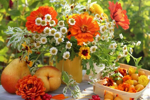 Natura in giardino, foglie e fiori