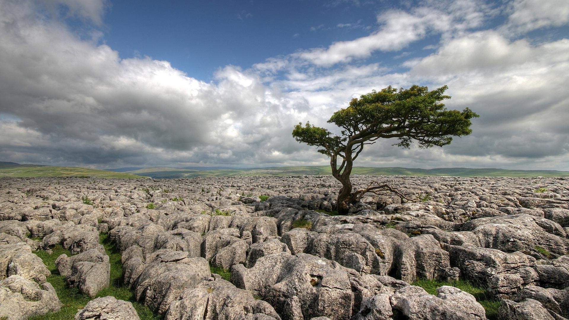 rocks boulders and stones landscape sky nature outdoors tree travel rock scenic grass water daylight summer