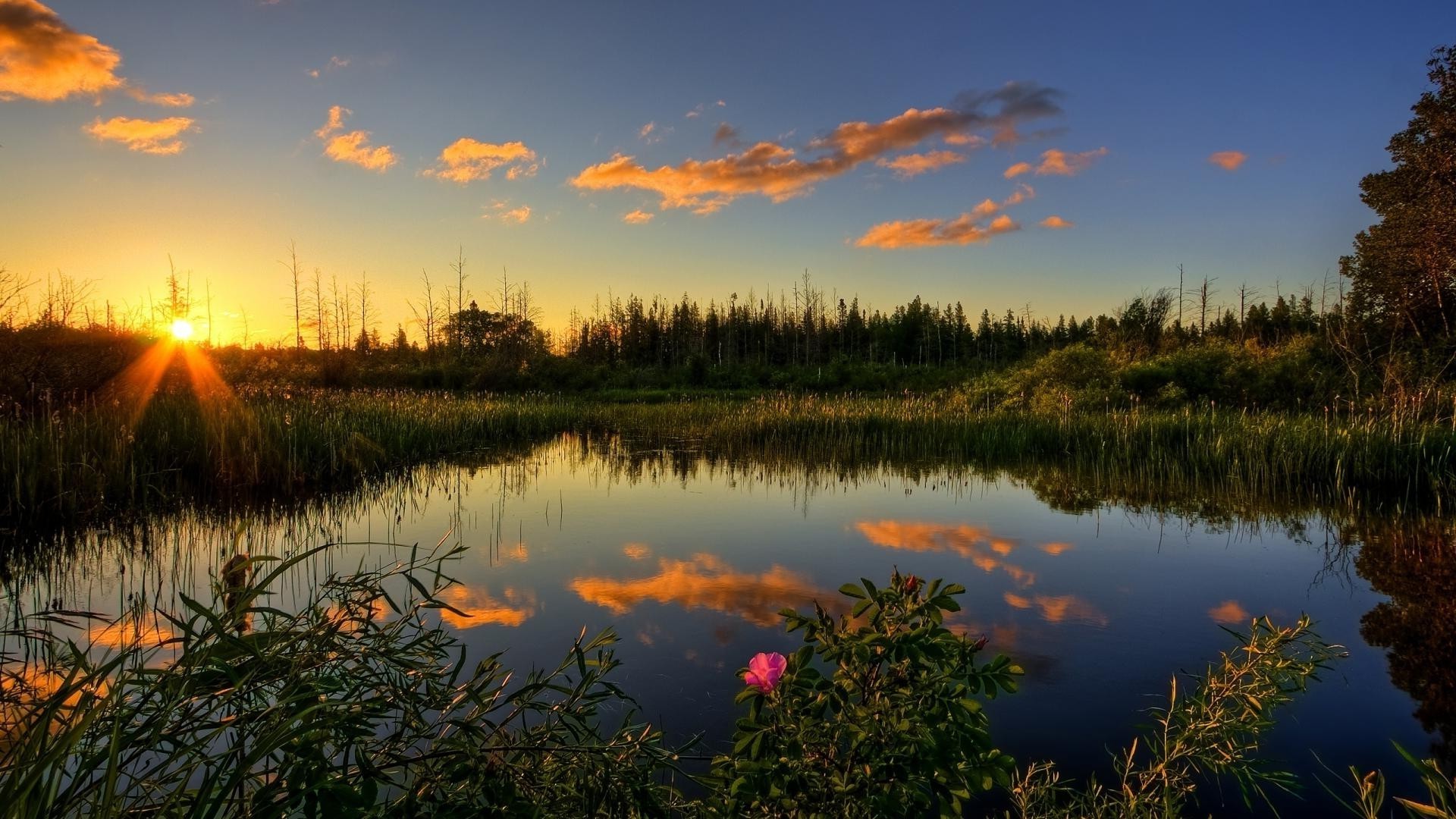 the sunset and sunrise sunset dawn lake reflection water nature landscape evening sun sky outdoors river tree dusk fall fair weather